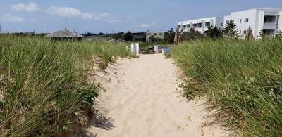 The sandy dunes at our oceanfront hotel in Montauk