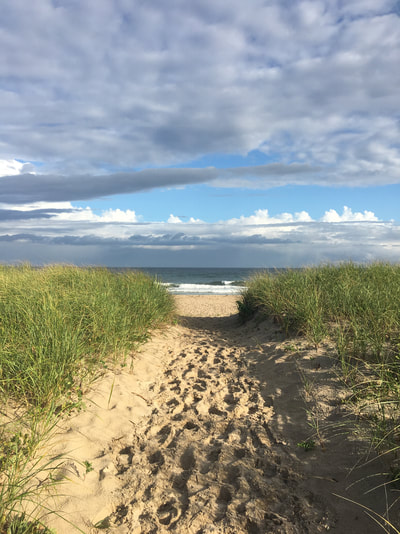 the sandy dunes at the best beach on long island