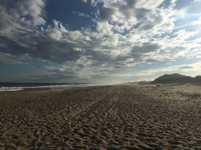 the private beach at our ocean front hotel in the hamptons 