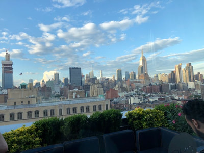 The NYC skyline during the day from PHD Rooftop 
